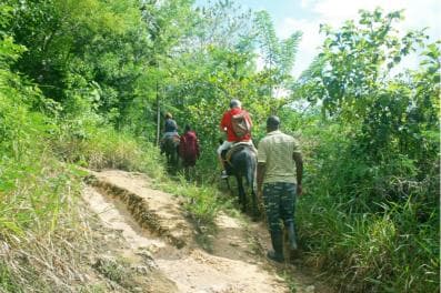 Samaná: El Limón Waterfall Horseback Riding Tour