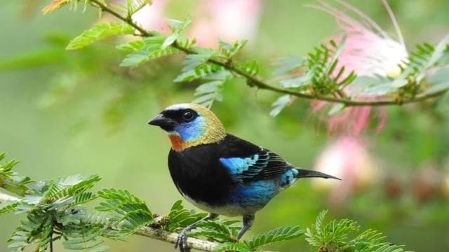 La Fortuna: Rainforest Nature Hike with Guide