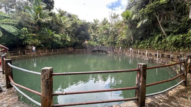 Puerto Rico: El Yunque Sightseeing Half-Day Tour w/Transfer