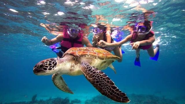 San Juan Snorkeling Tour with Roundtrip Transportation