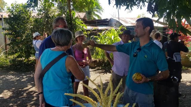 Puerto Limon: Half-Day Tortuguero Canals & Playa Bonita Tour - Photo 3 (Gallery view)