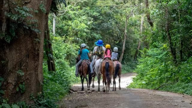 Rincón de la Vieja: Exclusive Eco Adventure 12-in-1 Day Pass - Dominican Republic