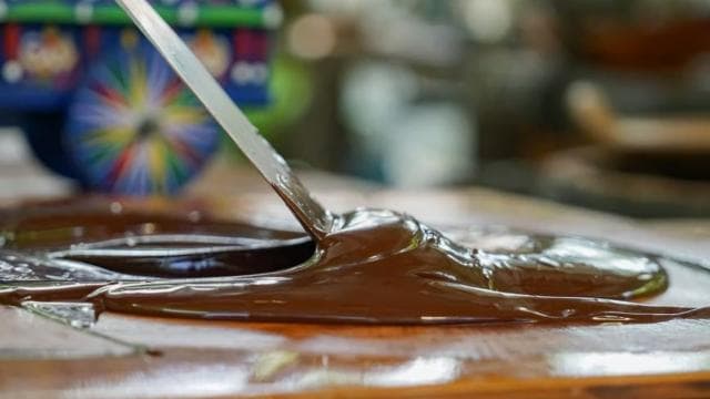 La Fortuna: North Fields Coffee and Chocolate Tour