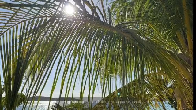 Vieques Adventure by Ferry from Ceiba. - Photo 3 (Gallery view)