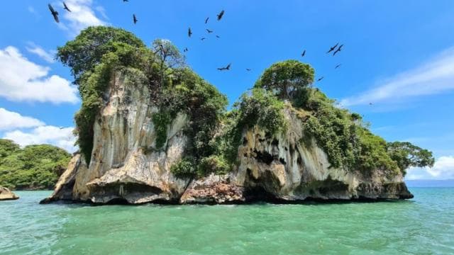 From Samana: Los Haitises Boat and Walking Tour with Lunch