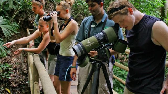Bird Watching Tour at Rainforest Adventures Braulio Carrillo