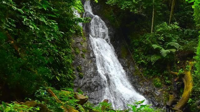 Jaco Beach: Waterfall Canyoning - Photo 5 (Gallery view)