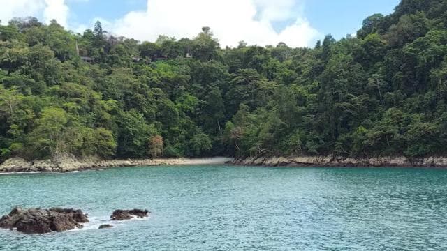 The heart of Quepos: History and Culture tour - Photo 5 (Gallery view)