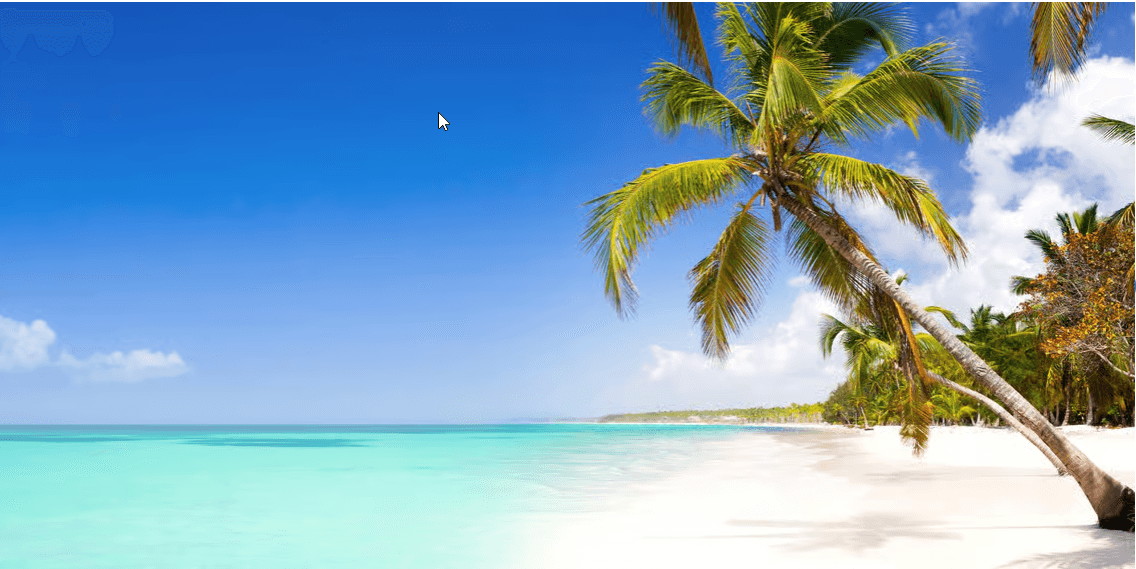 Punta Cana PUJ Airport Private Transfer to/from Bavaro|Veron - Photo 2 (Gallery view)