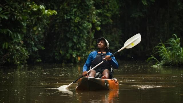 Tortuguero: Kayak adventure through the rainforest canals.
