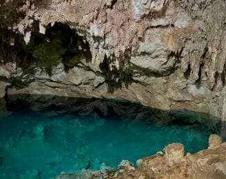 Privat: Bayahibe: Dschungelspaziergang und Cenote-Schnorcheltour - Photo 3 (Gallery view)