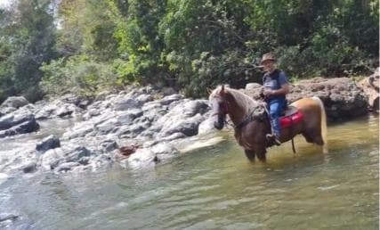 Santo Domingo: Horseback Riding - Round Trip Transportation