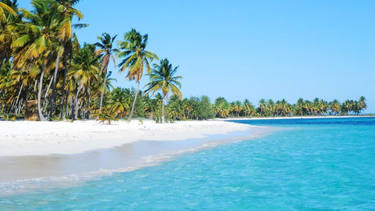 From La Romana: Saona Island for Costa Cruises Passengers - Photo 5 (Gallery view)