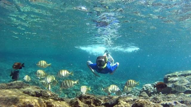 San Juan Snorkeling Tour with Roundtrip Transportation