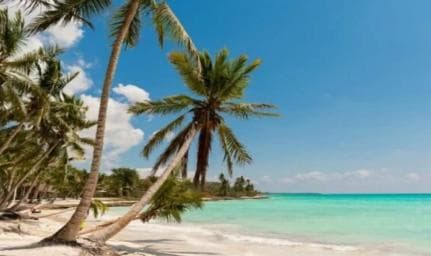 Bayahibe: Prehliadka katamaránu na ostrove Saona s obedom a nápojmi - Photo 4 (Gallery view)