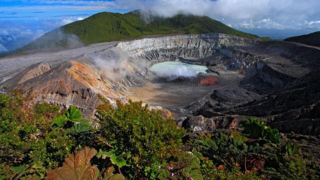 Volcan Poas: Volcan Poas National Park Flora & Fauna Tour