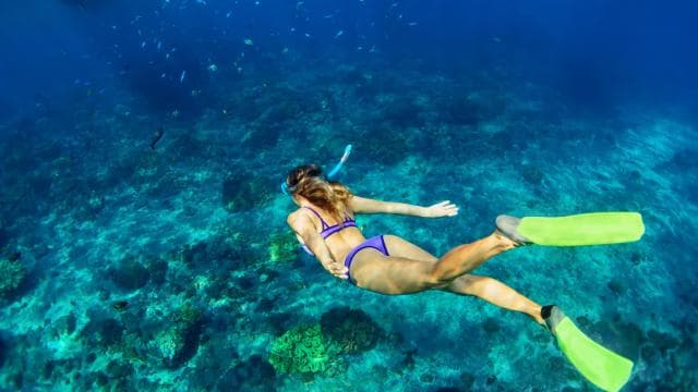 Playa Mantas: Morning Guided Snorkeling Tour Near Jaco Beach