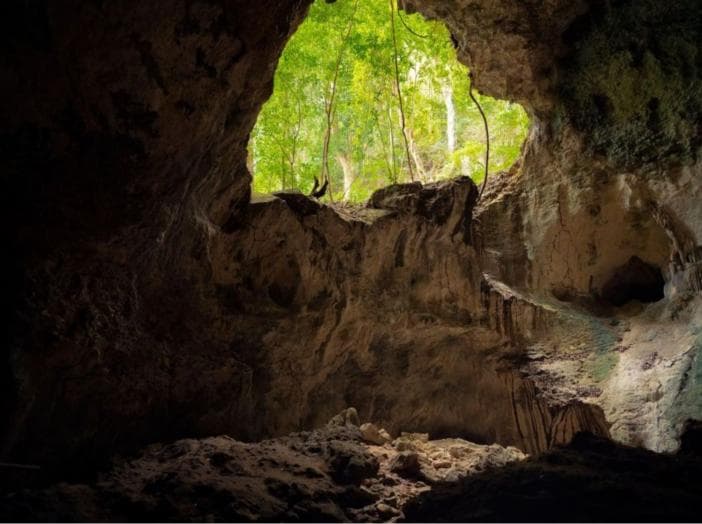 Los Haitises & Cayo Levantado Tour from Las Terrenas | $79 Ecotour Adventure