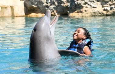 Puerto Plata Ocean World Dolphin Swim