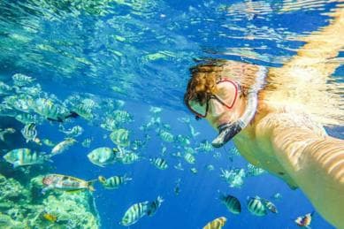 Monkeys and Snorkel Adventure in Sosúa, Puerto Plata