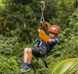 Rainforest Ziplining Adventure