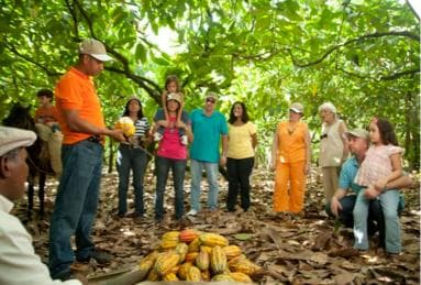 Dominican Republic: 3-Hour Chocolate Lovers Tour