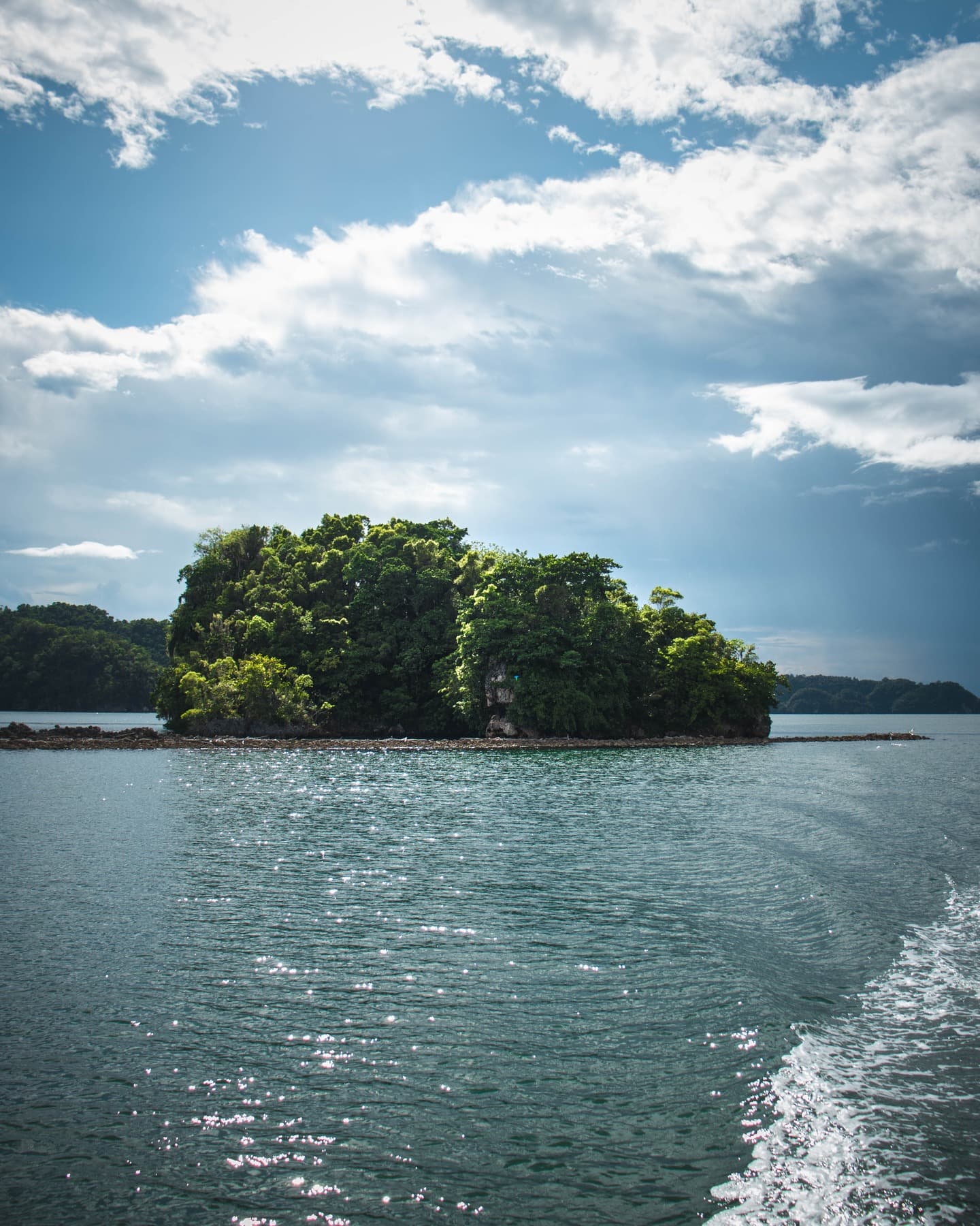 Prohlídka národního parku Los Haitises z Las Terrenas, Samaná. Půldenní výlet. Oběd v Caño Hondo - Photo 5 (Gallery view)