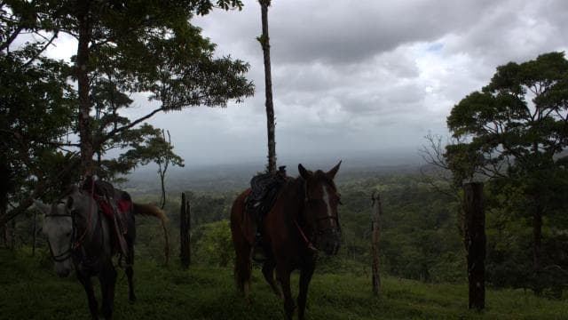 Private Horseback Riding - Río Celeste