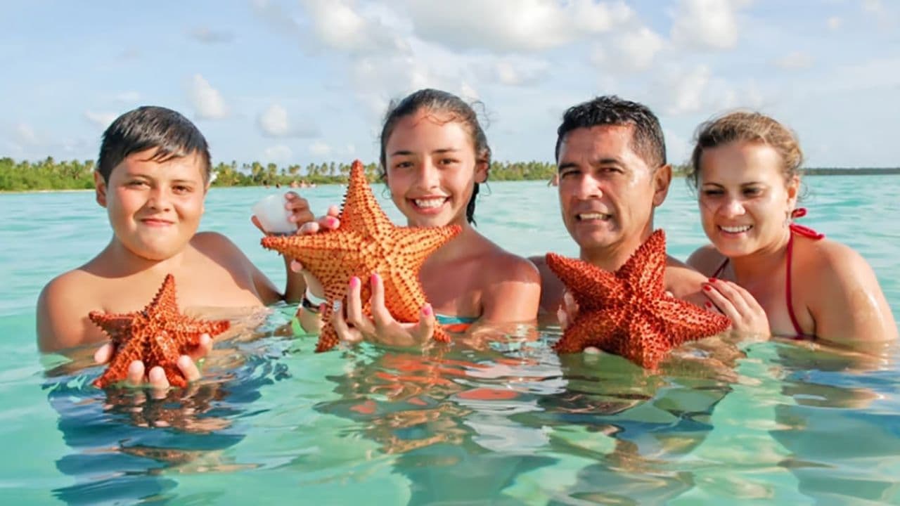 Saona Island: Incredible day With buffet from Punta Cana