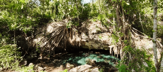 Bayahibe: National Park Jungle Walk & Snorkeling in Cenotes - Photo 3 (Gallery view)