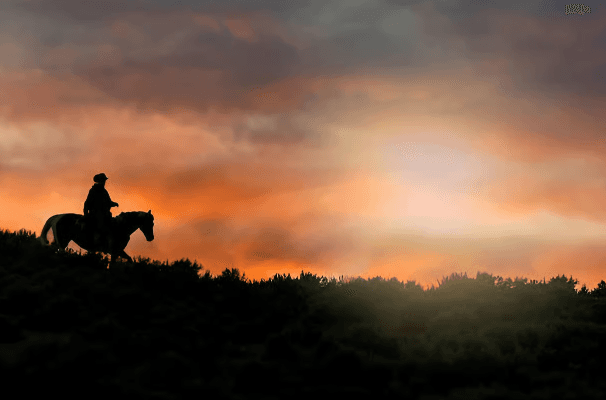 Punta Cana: Sunset Horseback Ride in Macao Beach and Forest - Photo 5 (Gallery view)