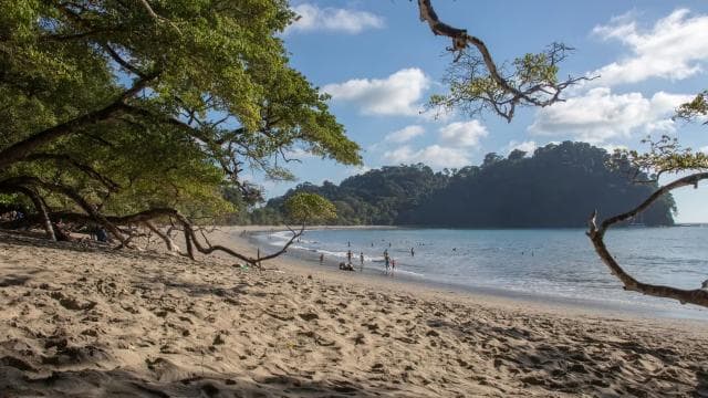 San Jose: Manuel Antonio National Park Day Trip with Lunch