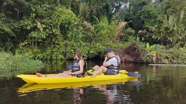 Tortuguero National Park: Kayak Tour with Guide