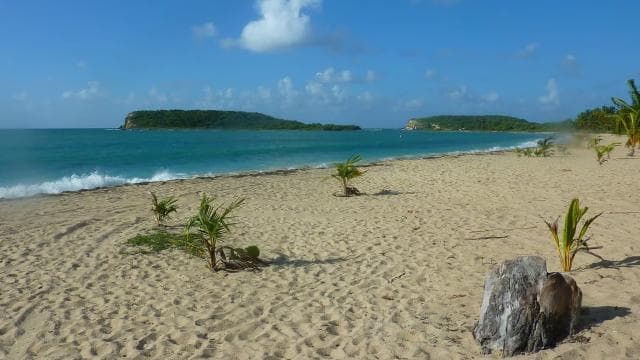 From Fajardo: Boat and Snorkeling in Culebra Island with All-Inclusive