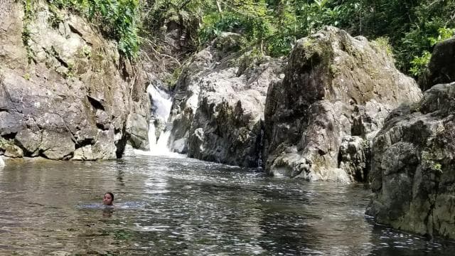 P-up/ San Juan: El Yunque Half-Day Tour with Transportation