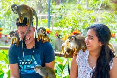 Monkeys and Snorkel Adventure in Sosúa, Puerto Plata - Photo 4 (Gallery view)