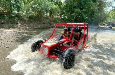 Puerto Plata: Monkeyland, Damajagua-Wasserfälle und Buggy-Abenteuer - Photo 3 (Gallery view)