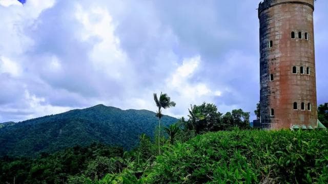 Private & Customizable El Yunque Rainforest Adventure - Photo 3 (Gallery view)