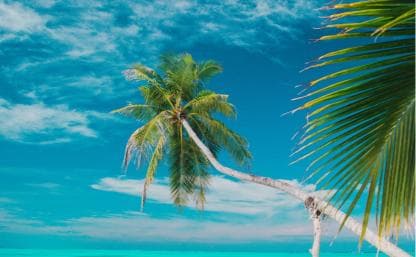 Private: Isla Saona VIP Escape Luxury Beach & Speedboat Tour