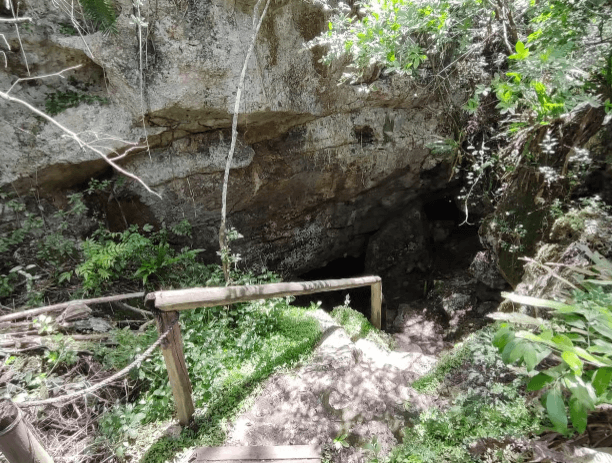 Bayahibe: National Park Jungle Walk & Snorkeling in Cenotes - Photo 4 (Gallery view)