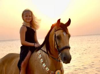 Makadi Bay: Horse Riding in Desert & Sea w Guide + Transfers