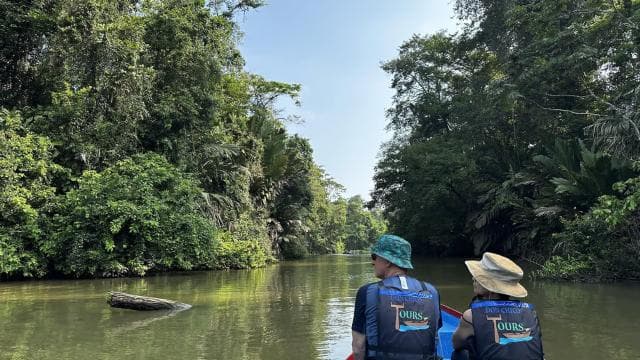 Tortuguero: Tour to the Canals in Tortuguero National Park