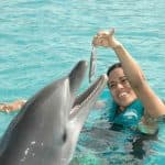 Puerto Plata Ocean World Nado con Delfines - Photo 3 (Gallery view)