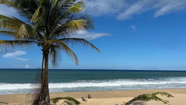 San Juan - Arecibo: midwest expedition waterfalls and beach