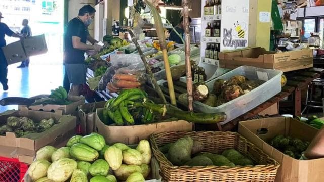 San Juan: Bad Bunny Origins & Cultural Food Tour