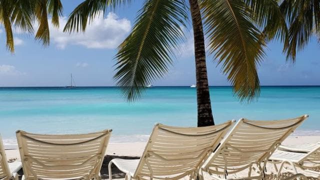 Paradisiacal Getaway: Soana Island from Punta Cana - Photo 5 (Gallery view)