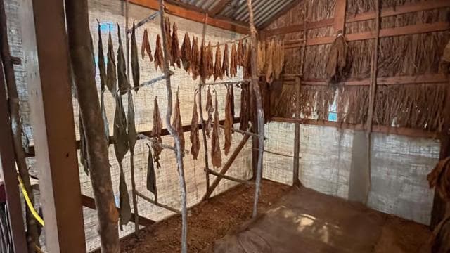 San Juan: Caguas, Guavate, Ponce, Rincon & Isabela Day Trip