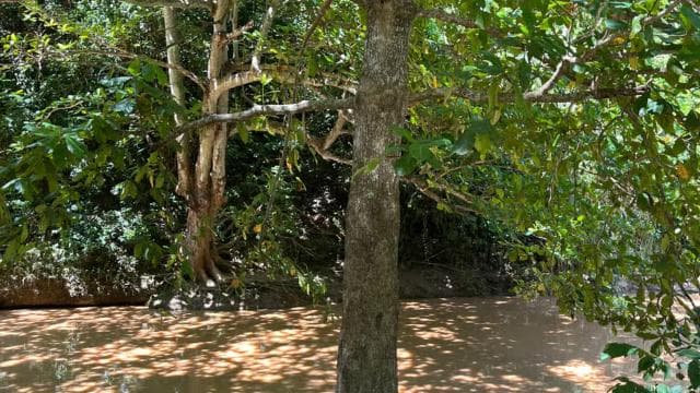San Juan - Arecibo: midwest expedition waterfalls and beach