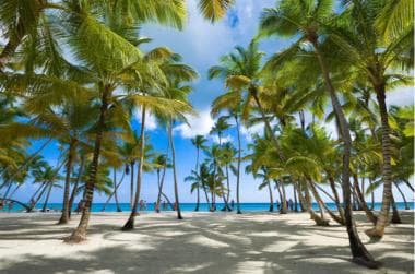 Private: Isla Saona VIP Escape Luxury Beach & Speedboat Tour - Dominican Republic