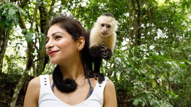 San Jose: Manuel Antonio National Park Day Trip with Lunch